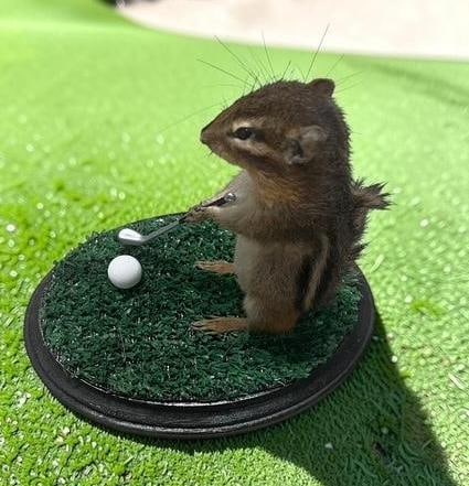 *New* Life-sized "Golfing" CHIPMUNK on a Putting Green Base - 2