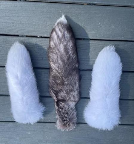 (3) *New* Soft and Tanned FOX TAILS with Key Chain Rings - 2