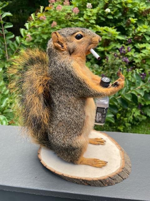 *New* Little Smoking and Jack Daniel Drinking SQUIRREL flipping "the bird" on a Log Slice Base - 5