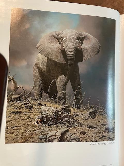 Leather Bound "SCI Record Book of Big Game Animals Edition X111, Volume 1 (Africa Edition)" - 3