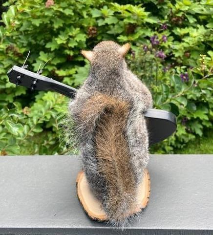 *New* Guitar Playing Norwegian Rock Star SQUIRREL! - 3