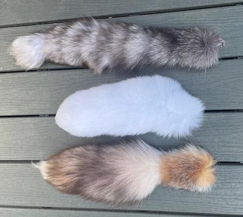 (3) *New* Soft and Tanned FOX TAILS with Key Chain rings - 2