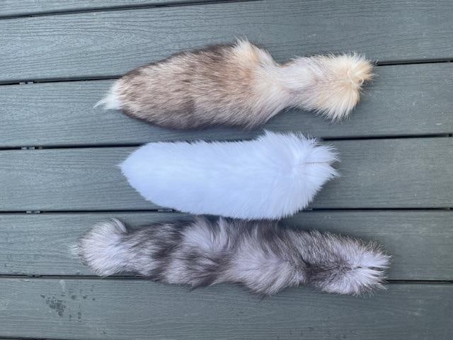 (3) *New* Soft and Tanned FOX TAILS with Key Chain rings - 3