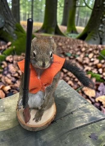 *New* Little Hunting SQUIRREL with his Orange Safety Vest and Rifle! - 2