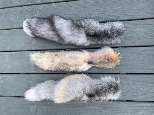 (3) *New* Soft, Fluffy, and Tanned FOX TAILS - 2