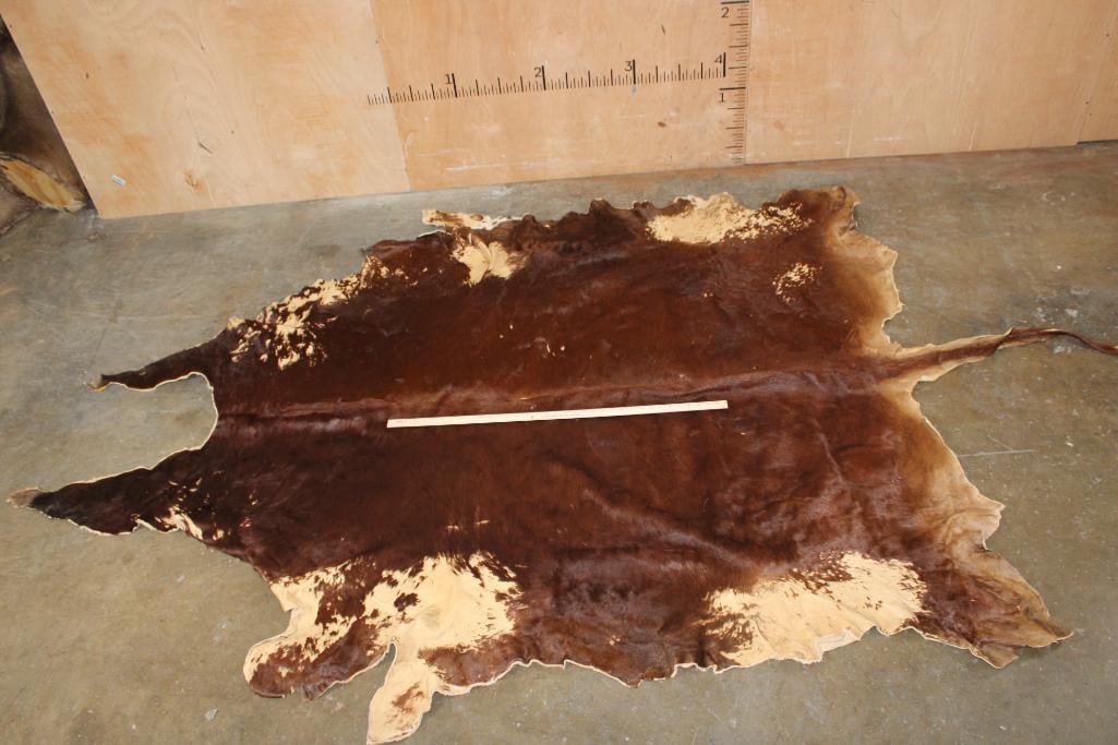 XL Tanned WATUSI Hide - 2