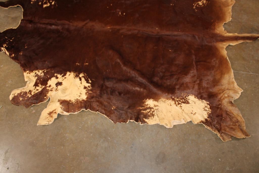 XL Tanned WATUSI Hide - 4