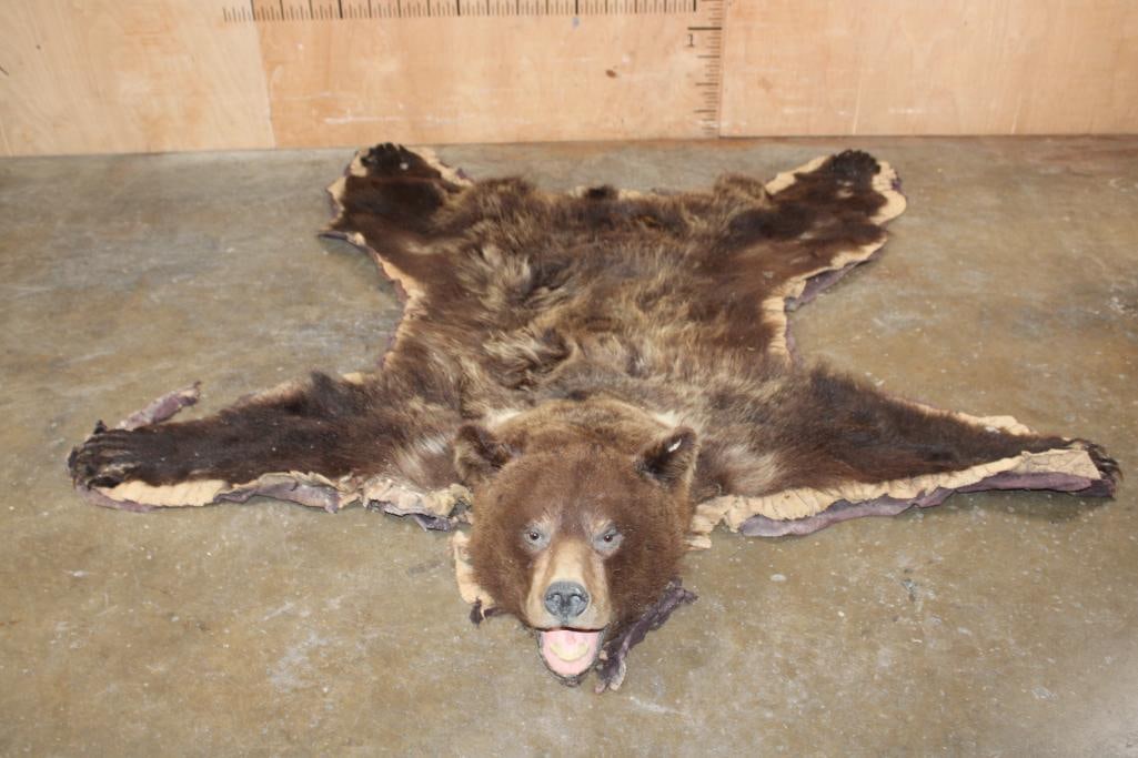 Cinnamon Phase BLACK BEAR Rug with All its Claws (1 of 8)