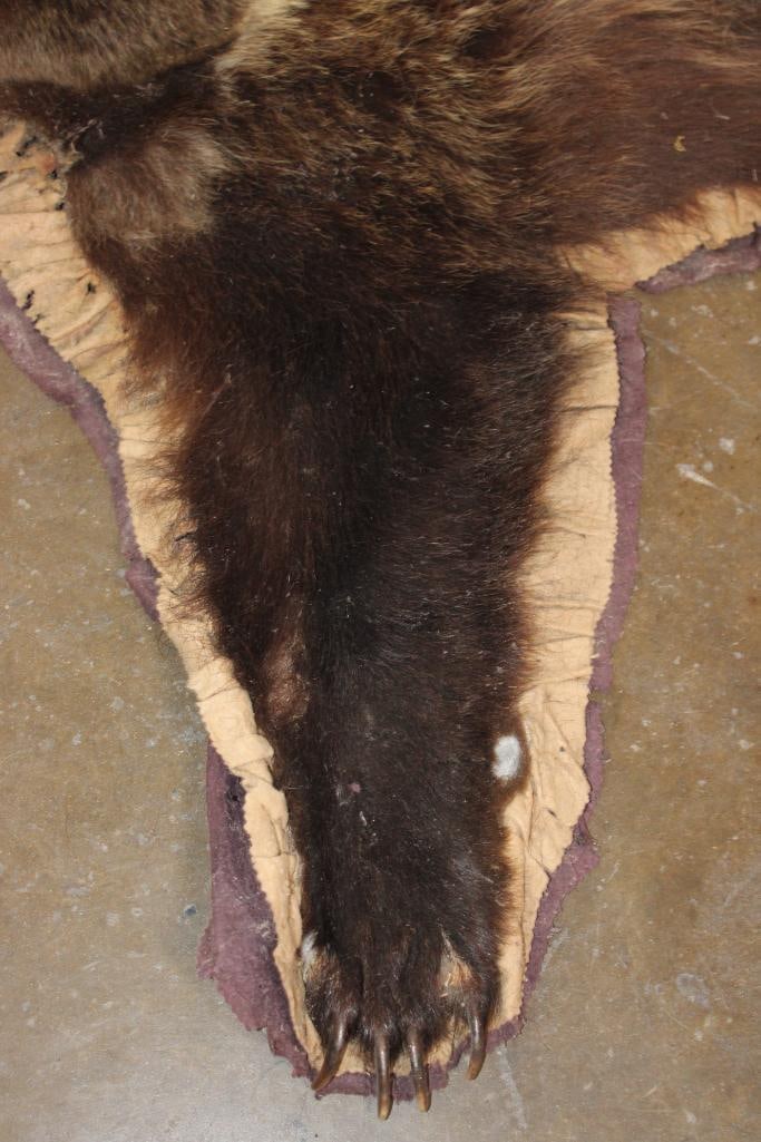 Cinnamon Phase BLACK BEAR Rug with All its Claws - 3