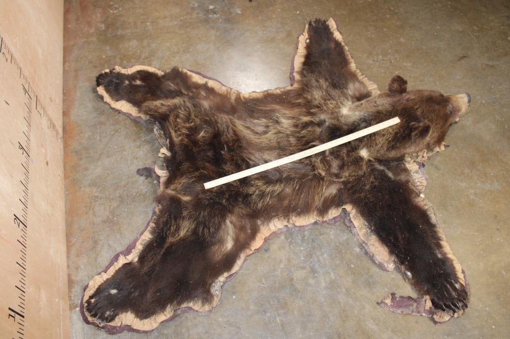 Cinnamon Phase BLACK BEAR Rug with All its Claws - 5