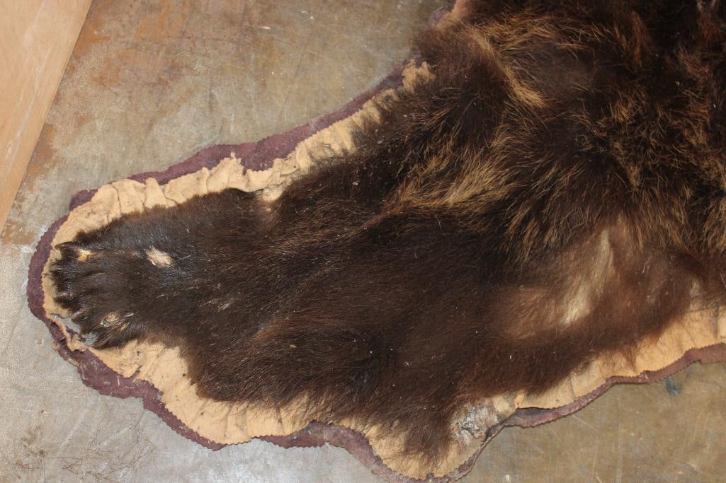 Cinnamon Phase BLACK BEAR Rug with All its Claws - 6