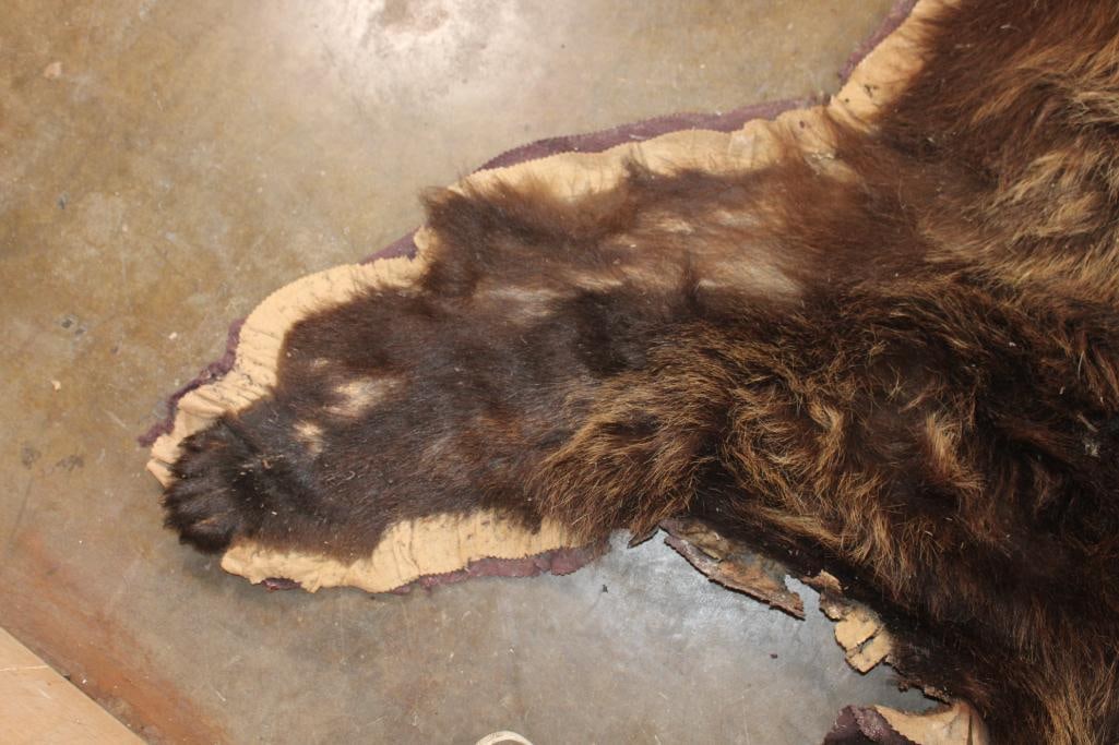 Cinnamon Phase BLACK BEAR Rug with All its Claws - 7