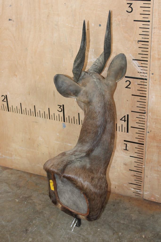 BUSHBUCK Pedestal Mount with No Pedestal - 5