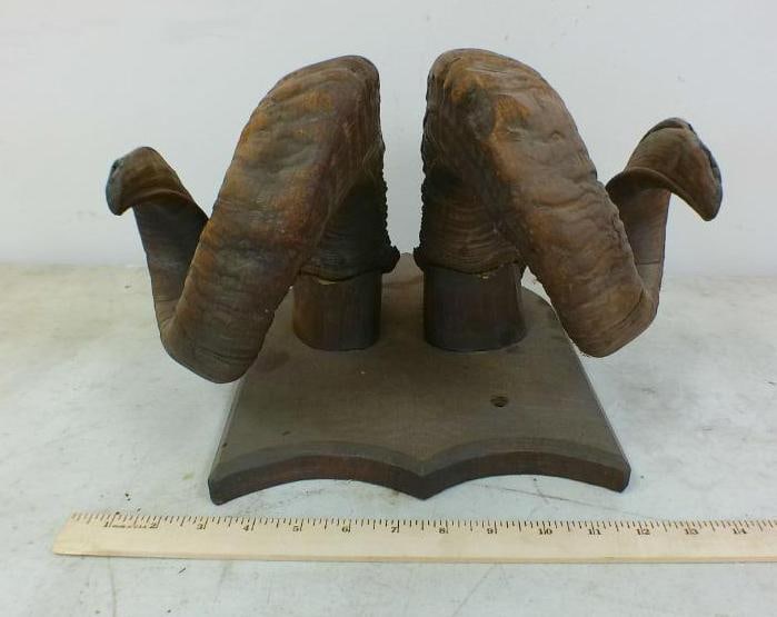 Vintage Set of RAM Horns on a Wood Plaque - 2