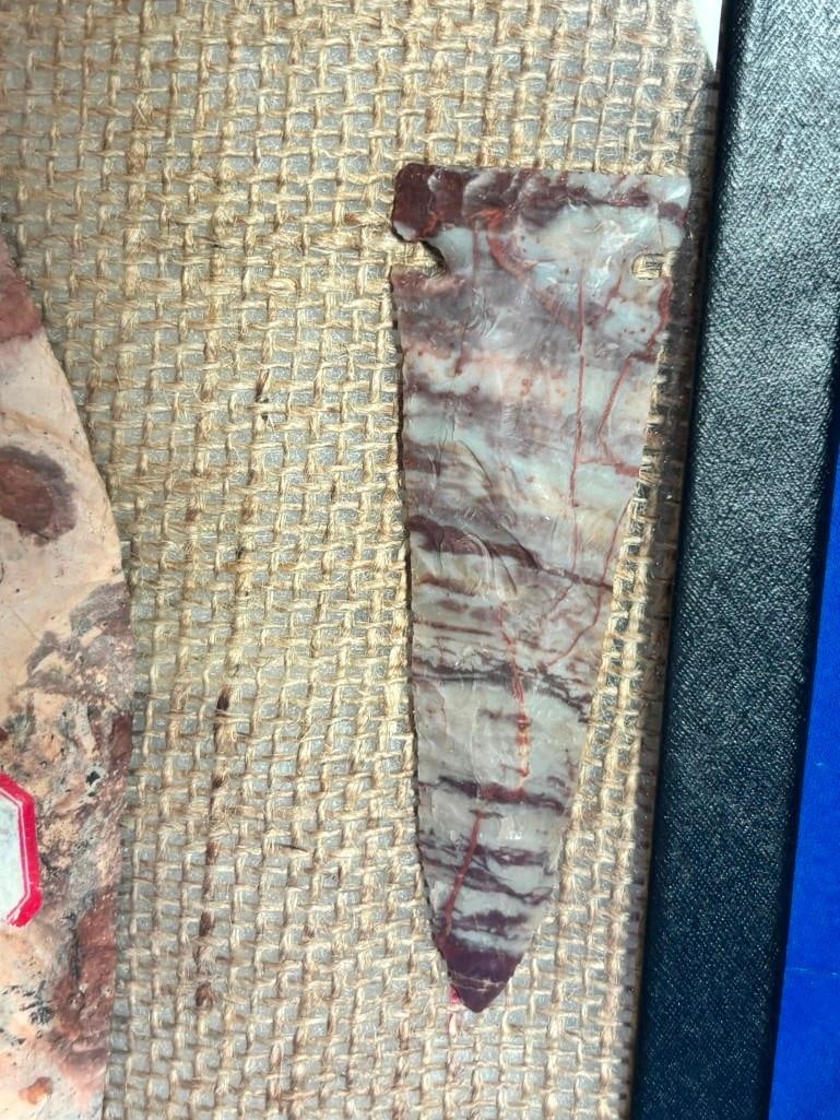 (5) Hand-knapped ARROWHEADS and Spear Points in a Display Frame - 3