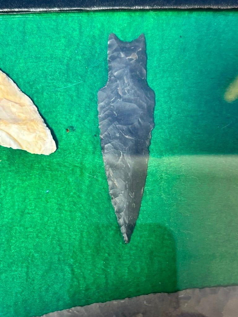 (9) Native American ARROWHEADS or Projectile Points in a Display Frame - 4