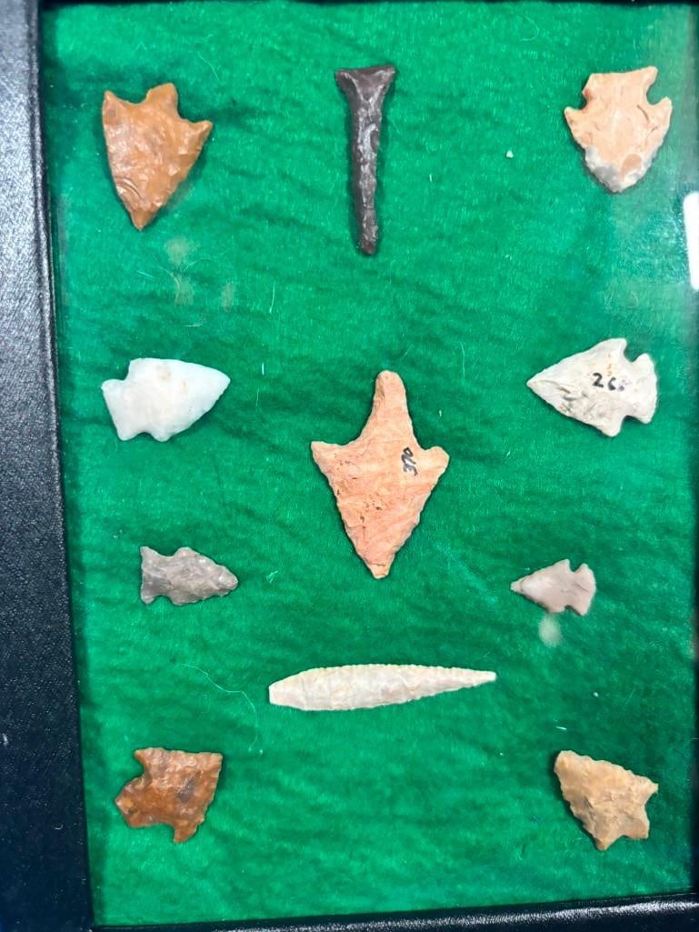 (11) Prehistoric Native American BIRD POINTS or ARROWHEADS in a Display Case - 2