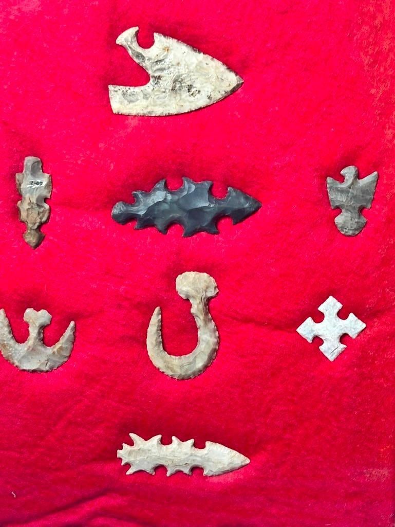 (8) ECCENTRIC FLINTS and Projectile Points in a Display Frame - 2