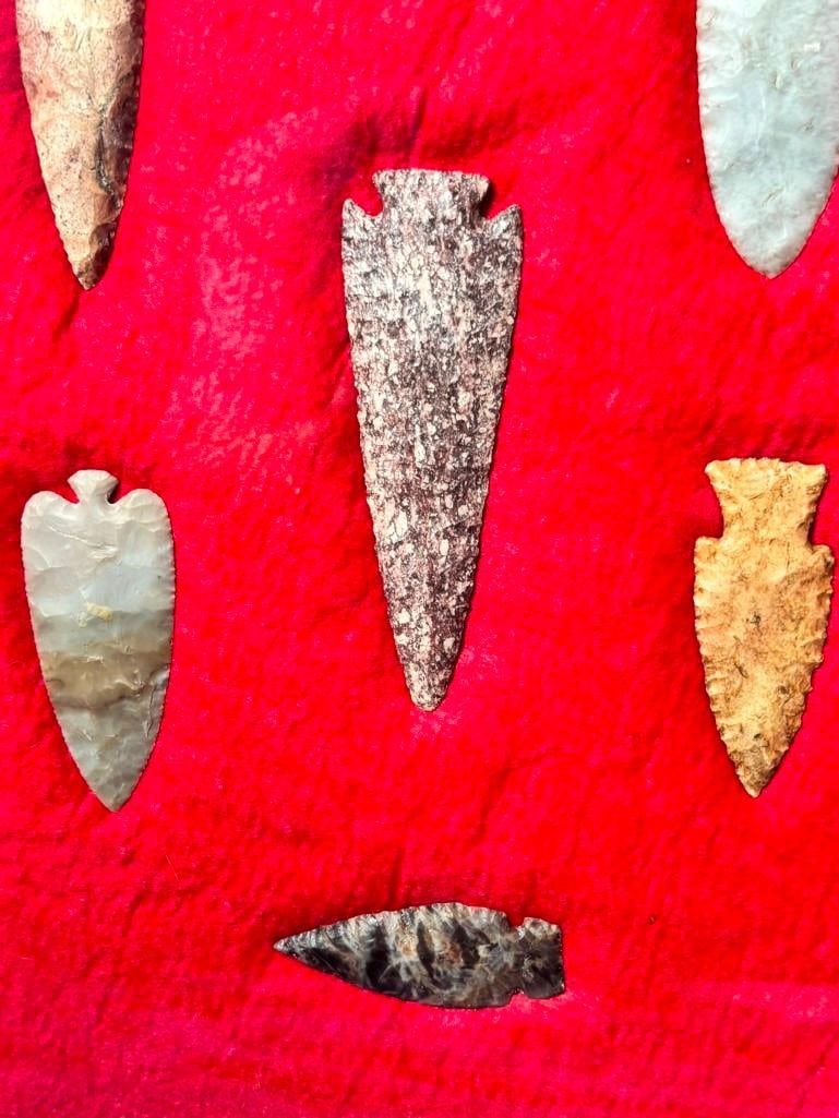 (6) Native American ARROWHEADS in a Display Frame - 2