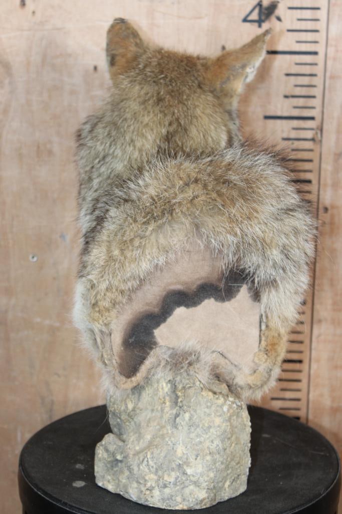 COYOTE Table Pedestal Mount - 4