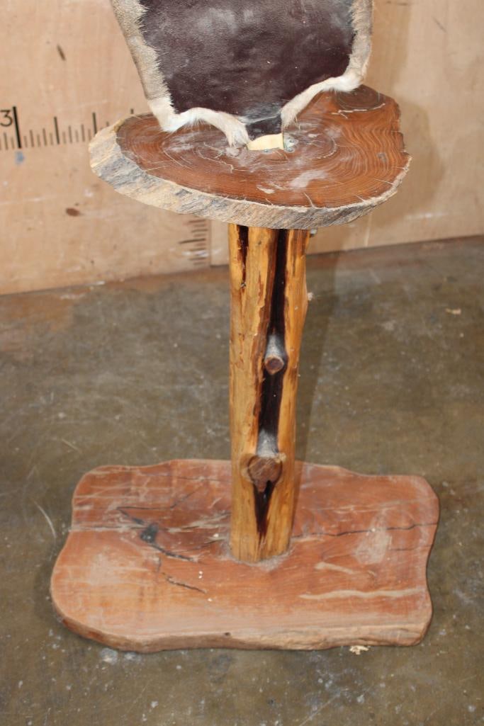 18-Point WHITETAIL DEER Pedestal Mount - 6
