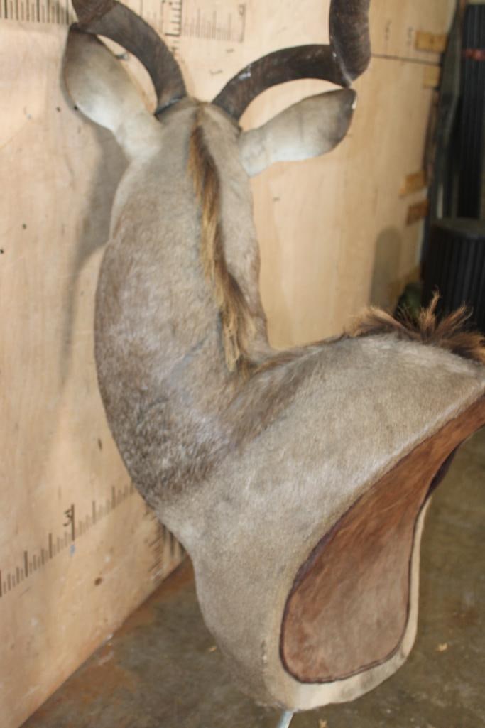 KUDU Pedestal Mount with No Pedestal - 11