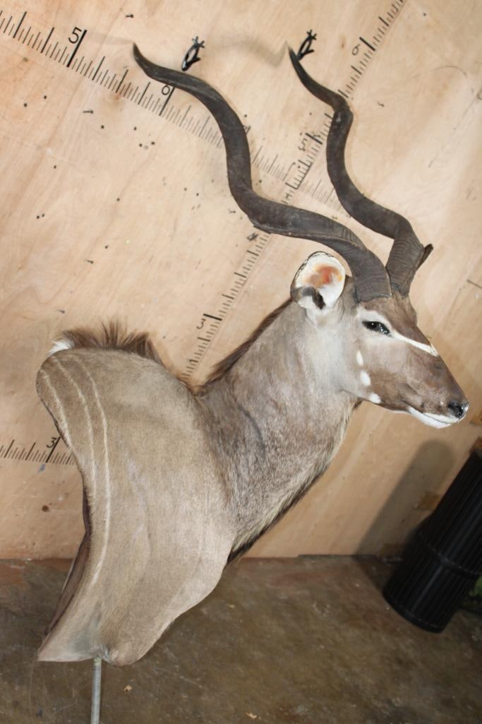 KUDU Pedestal Mount with No Pedestal - 2
