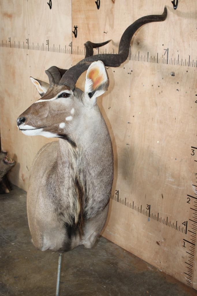 KUDU Pedestal Mount with No Pedestal - 3