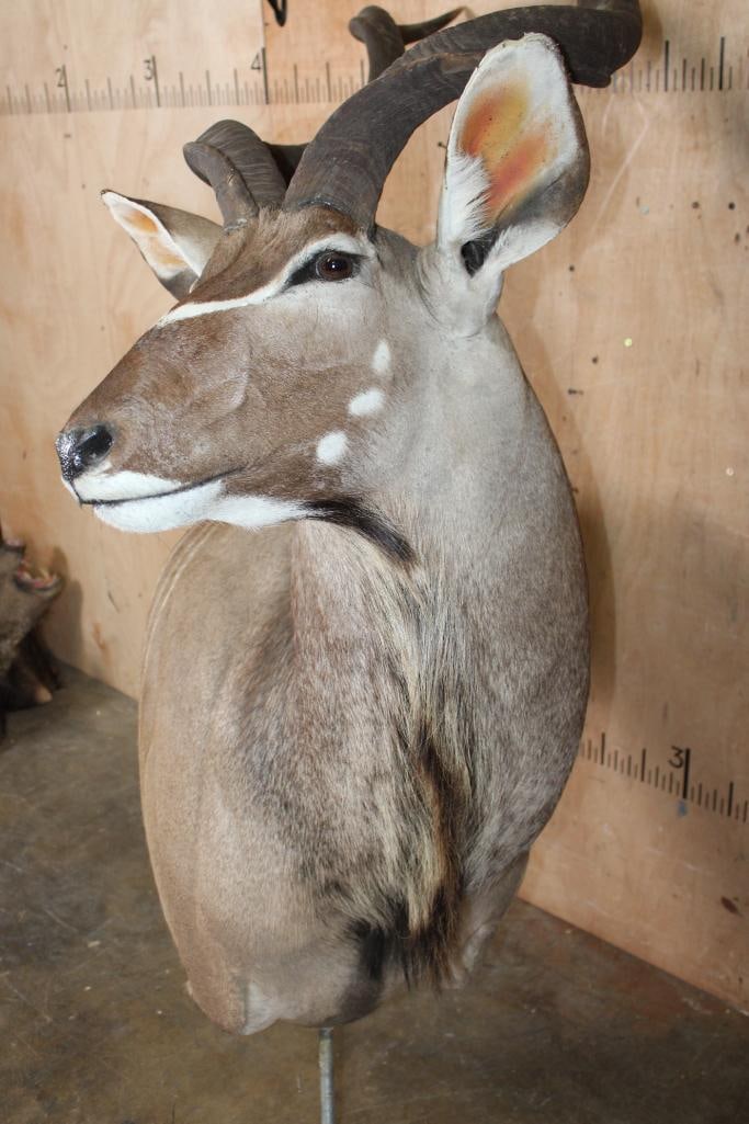 KUDU Pedestal Mount with No Pedestal - 4