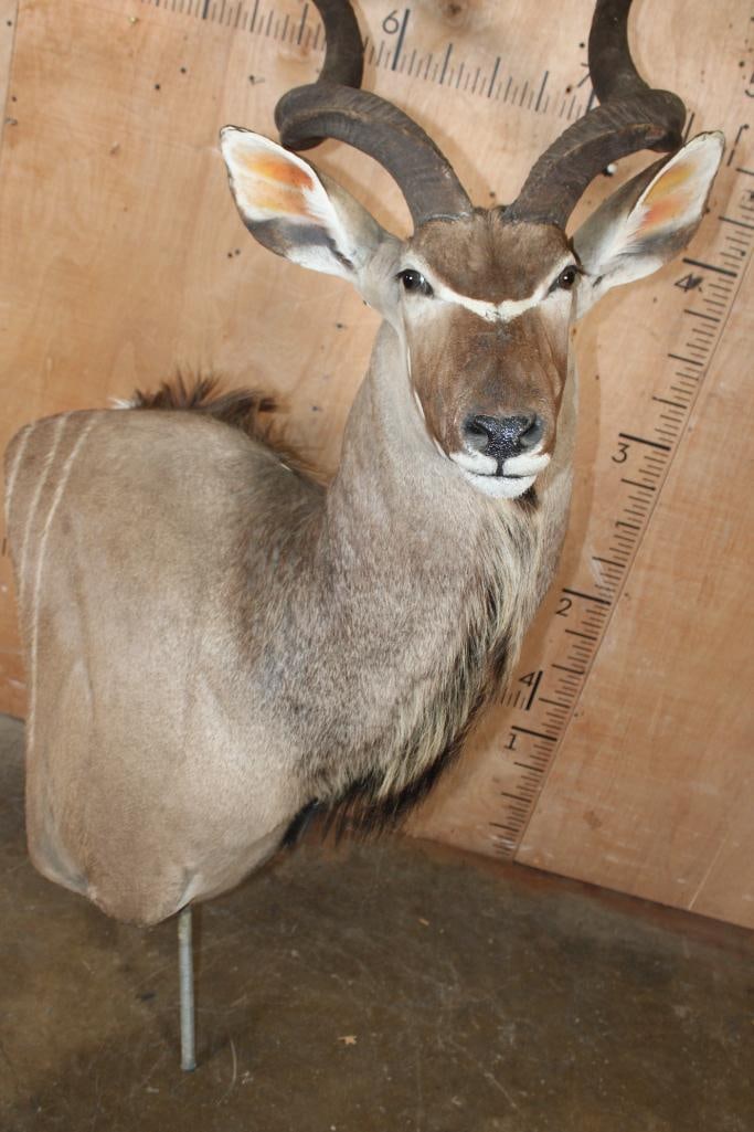 KUDU Pedestal Mount with No Pedestal - 5