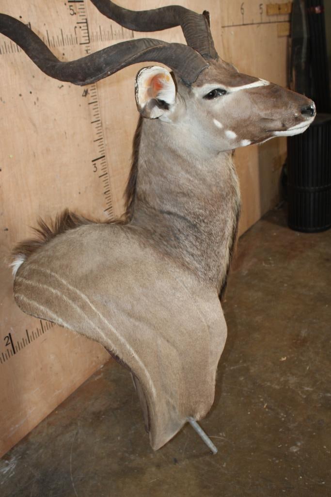 KUDU Pedestal Mount with No Pedestal - 6