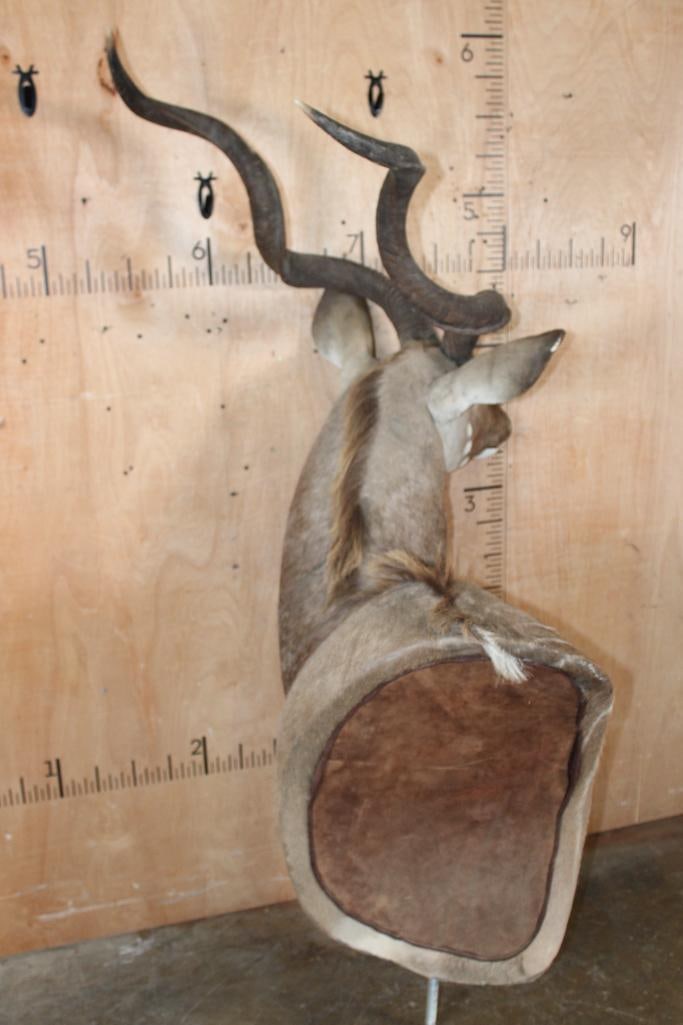 KUDU Pedestal Mount with No Pedestal - 9