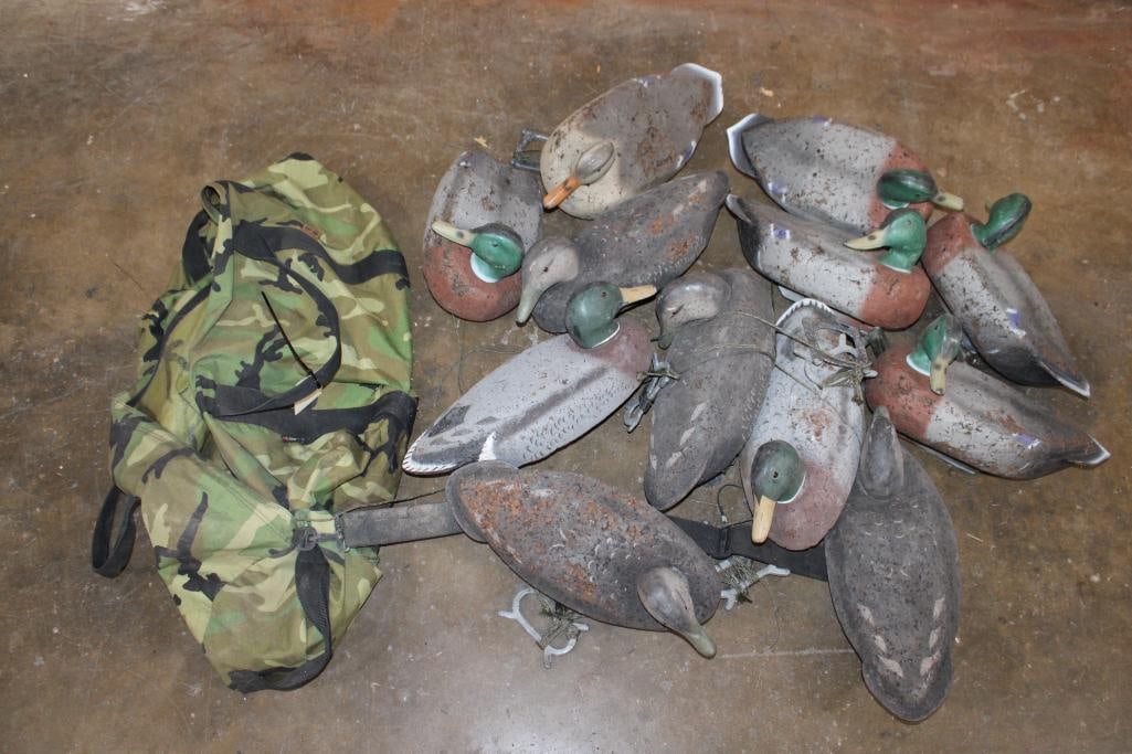 (12) Cork Duck Hunting DECOYS with a Big Camouflage Bag: 12 Cork Duck Hunting DECOYS with Plastic Heads and a Big Camo Bag. HUNTING DUCK DECOYS 