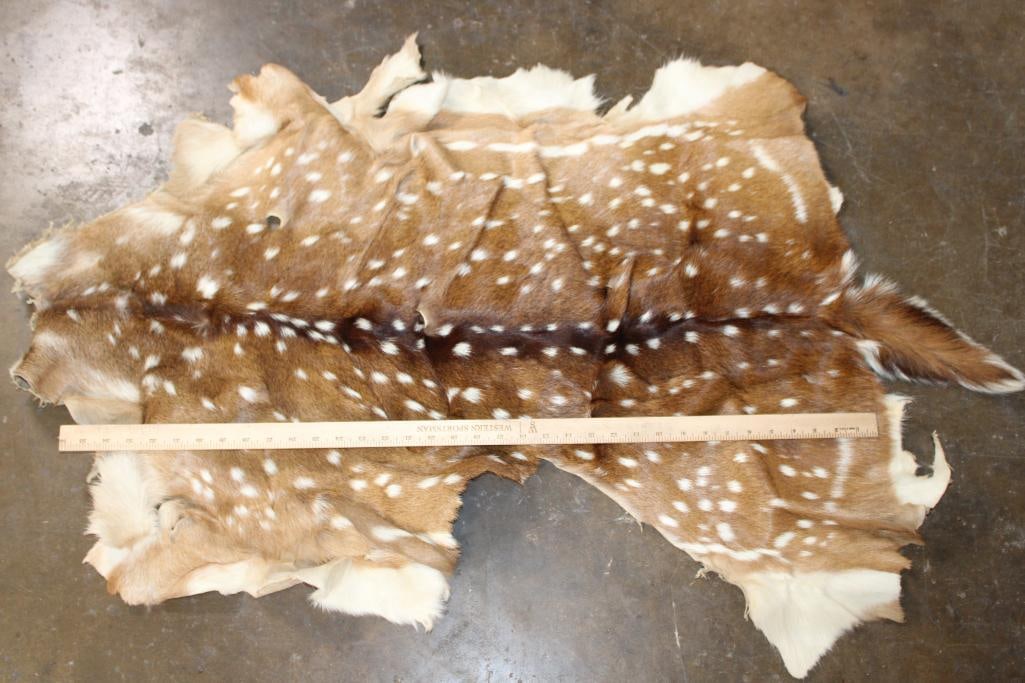 Soft and Clean AXIS DEER Hide - 2