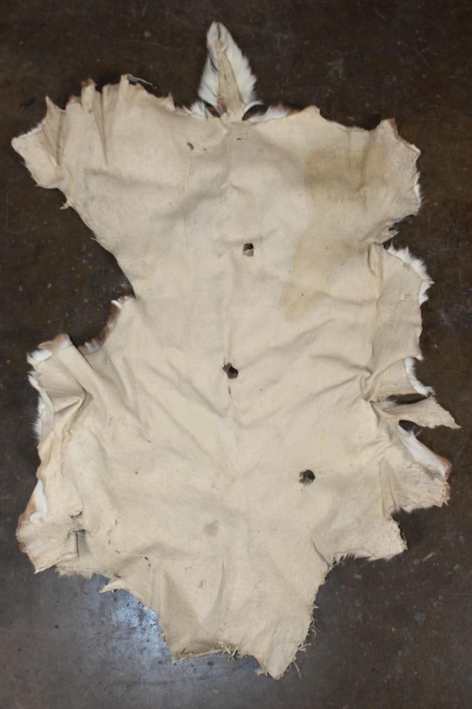 Soft and Clean AXIS DEER Hide - 3