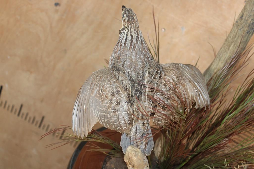 3 QUAIL "Taking Flight" on a Decorative Wood Base - 7