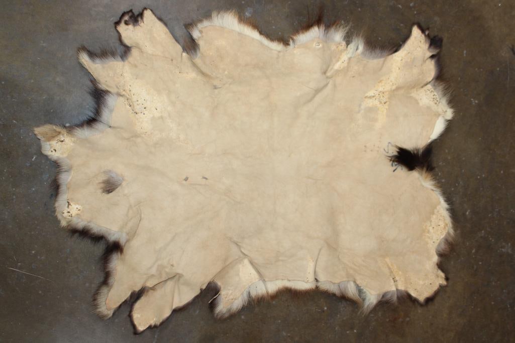 Soft and Clean CHAMOIS Hide - 3