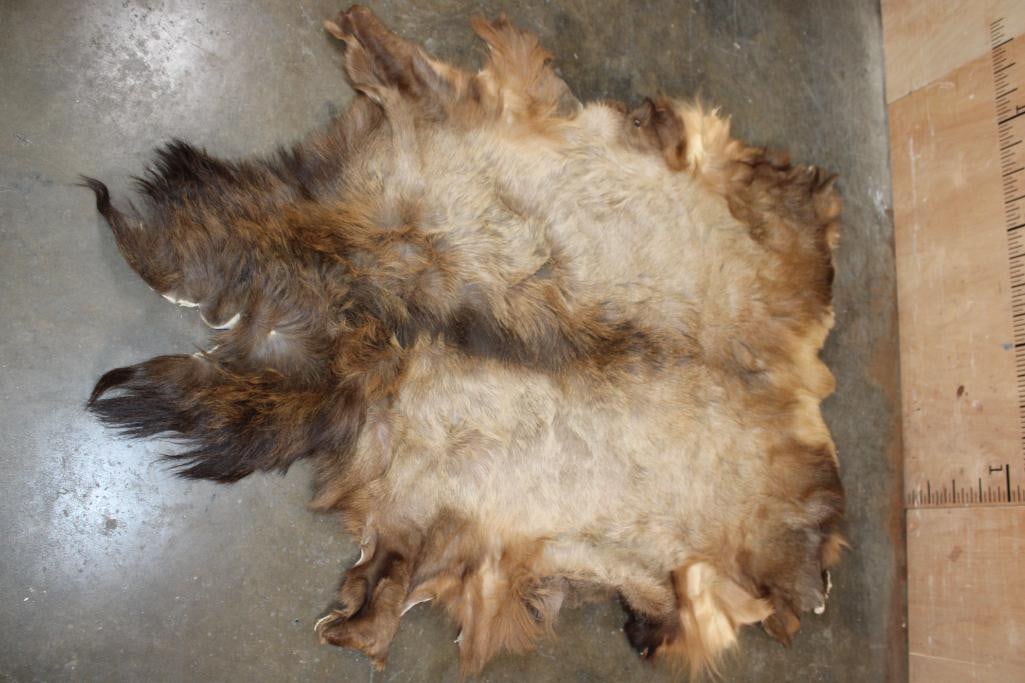 RED STAG Hide: Very Nice and Clean RED STAG Hide. It measures 70" Long x 55" Wide and is in Good Condition. TAXIDERMY HIDES 
