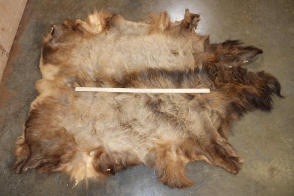 RED STAG Hide - 2