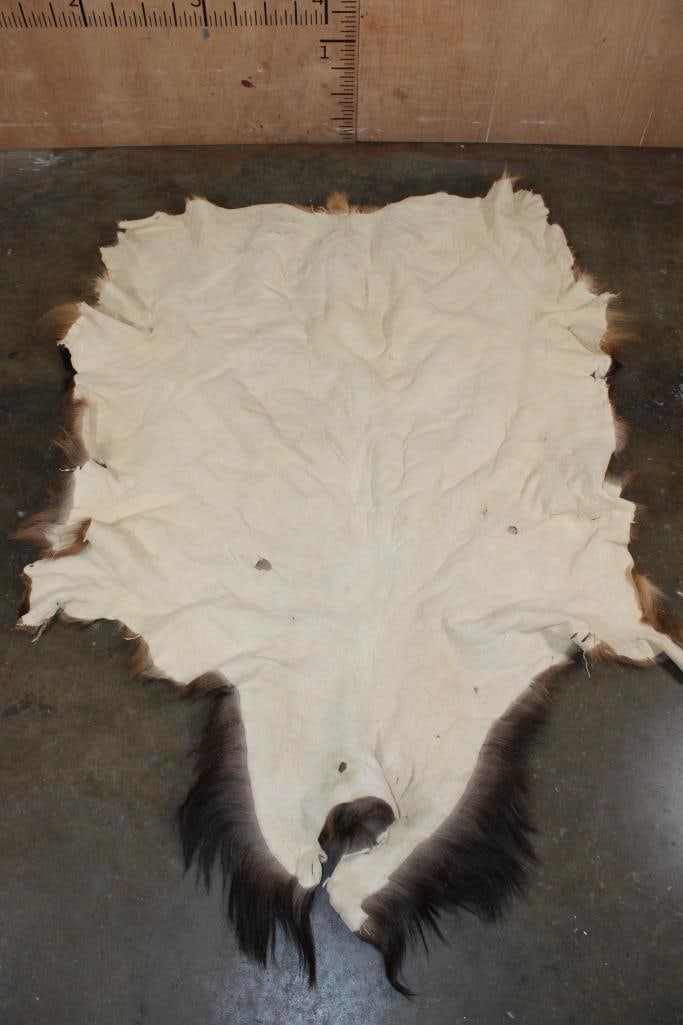 RED STAG Hide - 3