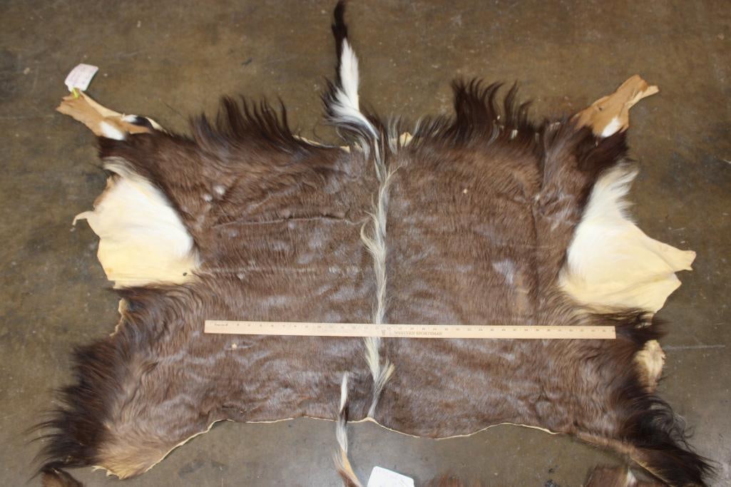 (1) NYALA Hide and (1) SITATUNGA Back Hide - 2