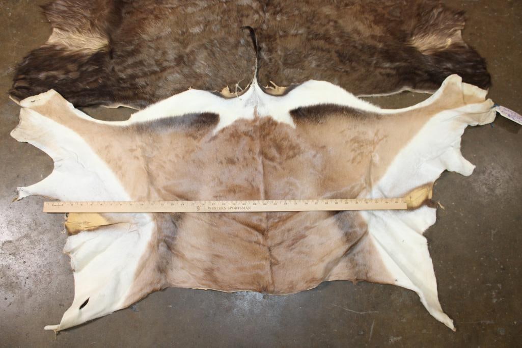 3 Back Hides. (1) WATERBUCK, (1) BLACK WILDEBEEST, (1) GRANT's GAZELLE - 4