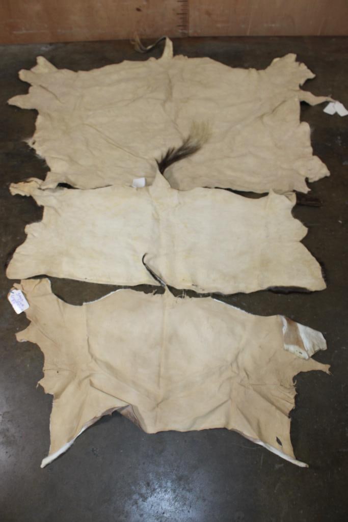 3 Back Hides. (1) WATERBUCK, (1) BLACK WILDEBEEST, (1) GRANT's GAZELLE - 5