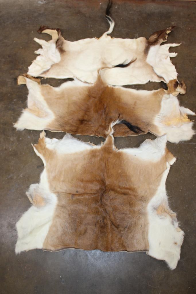 *TEXAS RESIDENTS ONLY* (2) RED LECHWE Back Hides and (1) ADDAX Back Hide: *TEXAS RESIDENTS ONLY*! 2 RED LECHWE Back Hides and 1 ADDAX Back Hide. TAXIDERMY HIDES *Texas Residents Only* means YOU, the registered bidder, must have a valid Texas Driver's License to