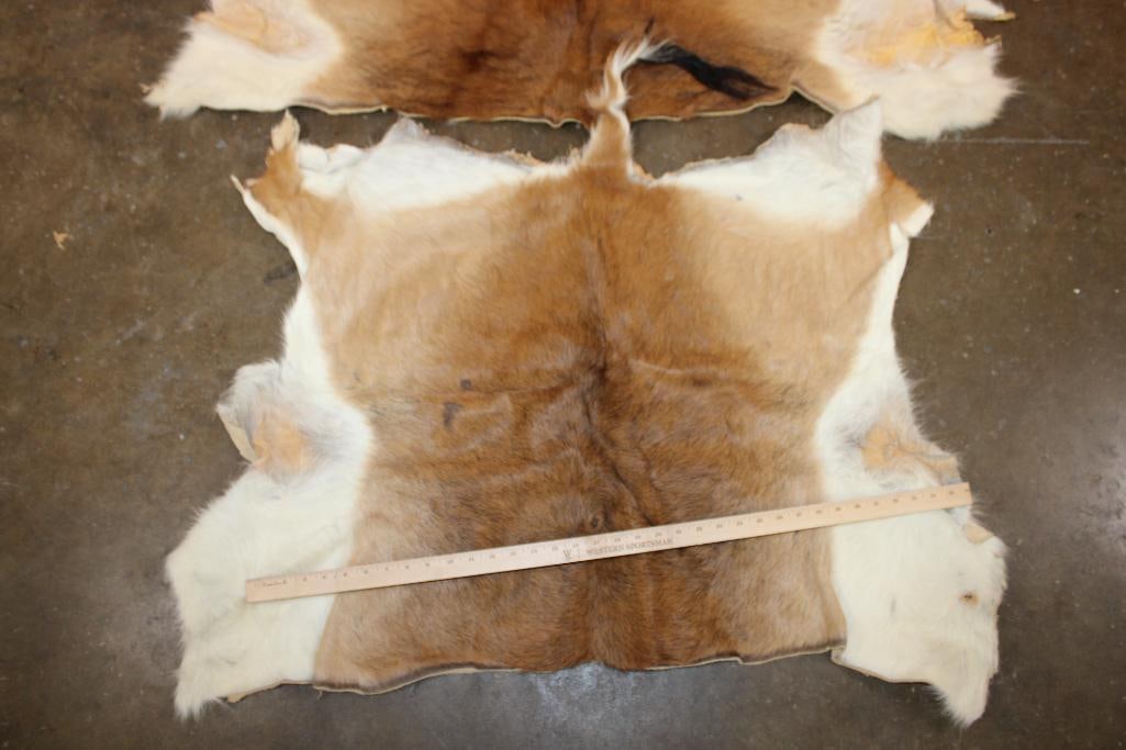 *TEXAS RESIDENTS ONLY* (2) RED LECHWE Back Hides and (1) ADDAX Back Hide - 3