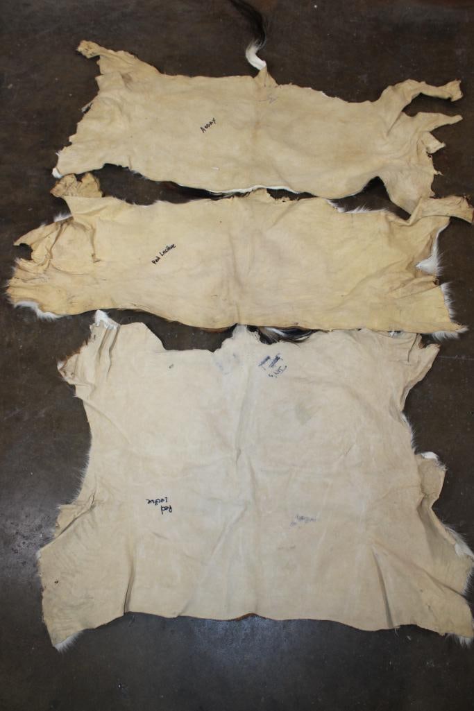 *TEXAS RESIDENTS ONLY* (2) RED LECHWE Back Hides and (1) ADDAX Back Hide - 4