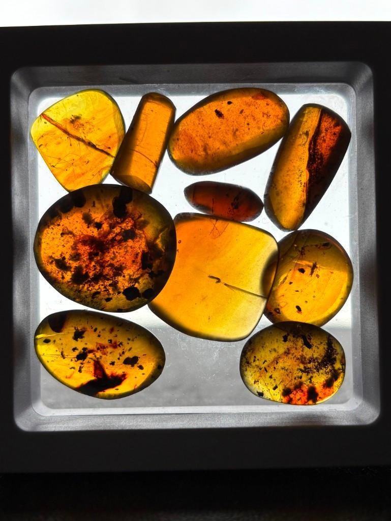 10 Pieces of Authentic Myanmar AMBER Fossil Specimens: 10 Pieces of Authentic Myanmar AMBER Fossil Specimens with several species of Insects Inclusions inside. They come in a display case as shown, the Total Weight is 10,47 grams. These were mined in