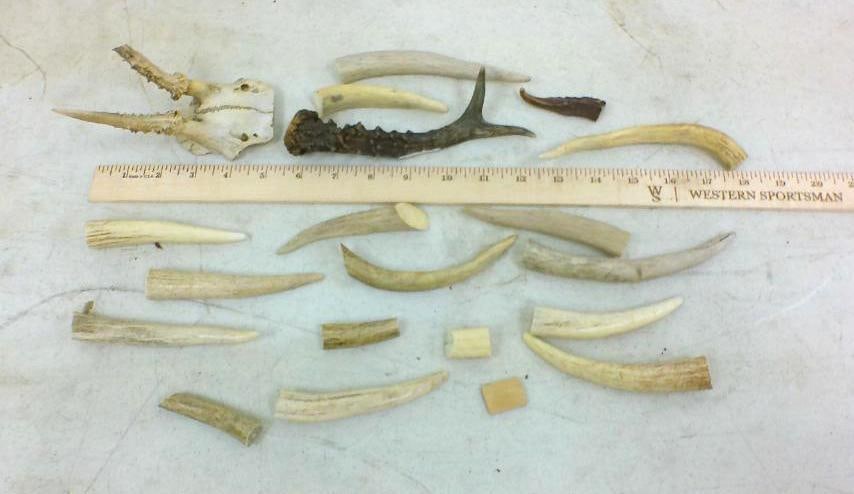 (20) Assorted ANTLER and BONE Fragments (1 of 1)