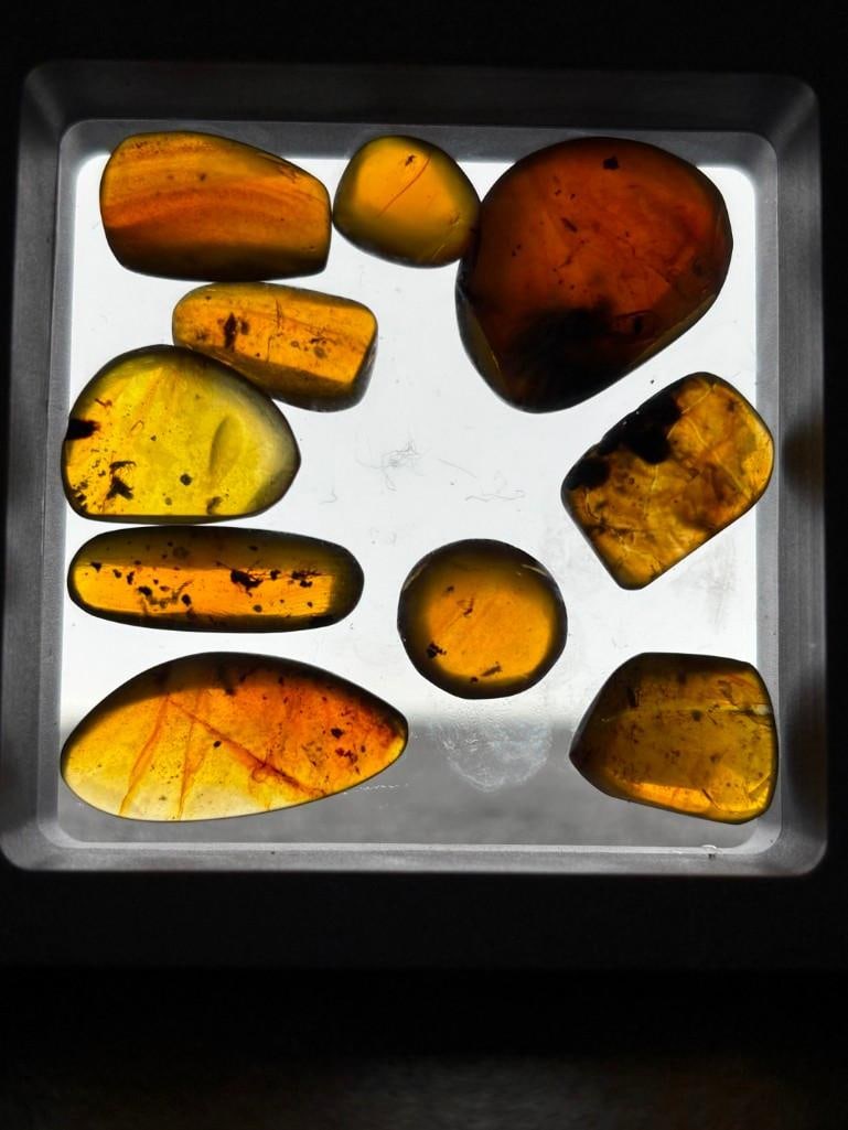 10 Pieces of Authentic Myanmar AMBER Fossil Specimens with Insect Inclusions: 10 Pieces of Authentic Myanmar AMBER Fossil Specimens with several species of Insects Inclusions. They come in a display case as shown, the Total Weight is 7.64 grams. These were mined in Burma and