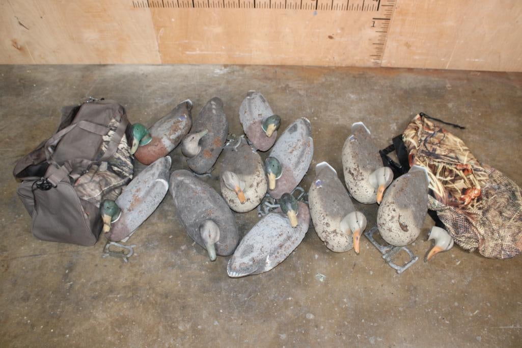 (11) Duck Hunting DECOYS with 2 Storage/Carrying Bags (1 of 4)